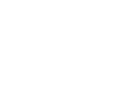 Evolution games at Zolo Bet Casino